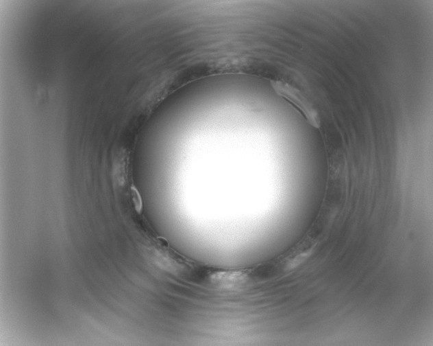 X0000053160133200507251918