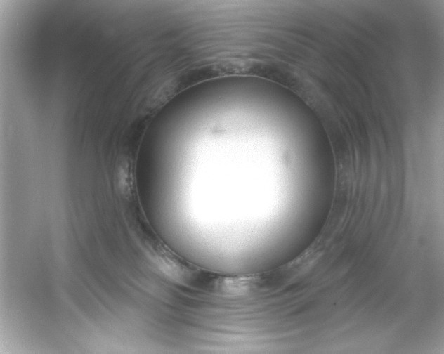 X0000053160134200507251918