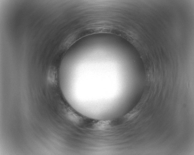 X0000053160138200507251918