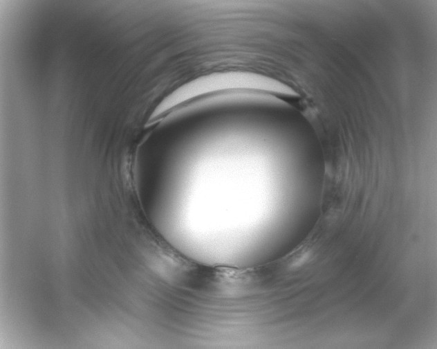 X0000053160141200507251918