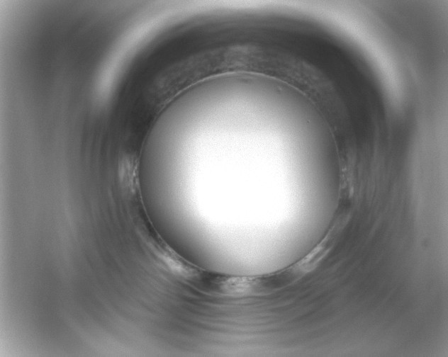 X0000053160142200507251918
