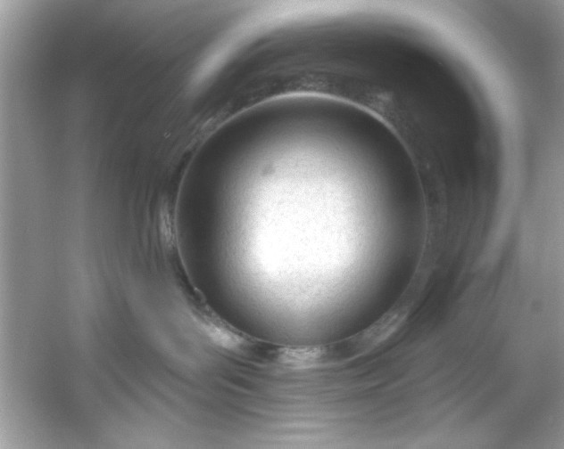X0000053160143200507251918