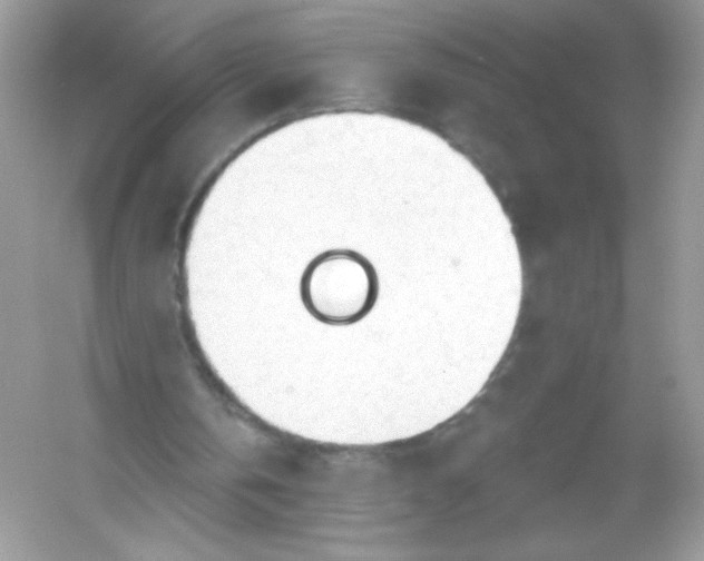 X0000053160146200507251917