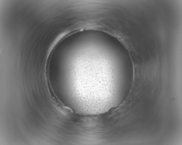 X0000053160147200507251917
