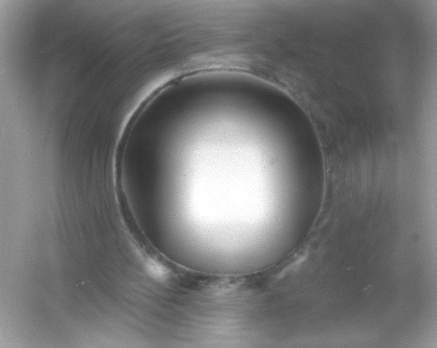 X0000053160148200507251917