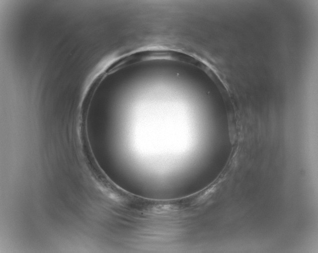 X0000053160152200507251917