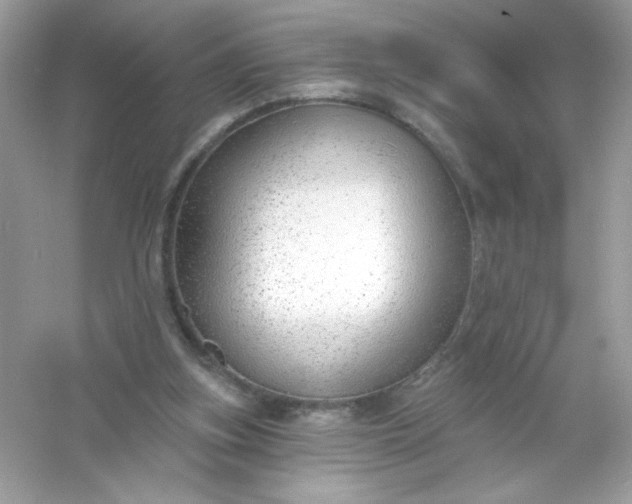 X0000053160155200507251917
