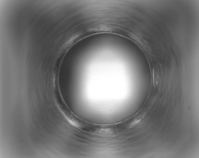 X0000053160157200507251917