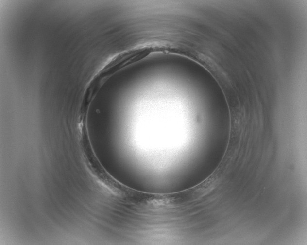 X0000053160160200507251918