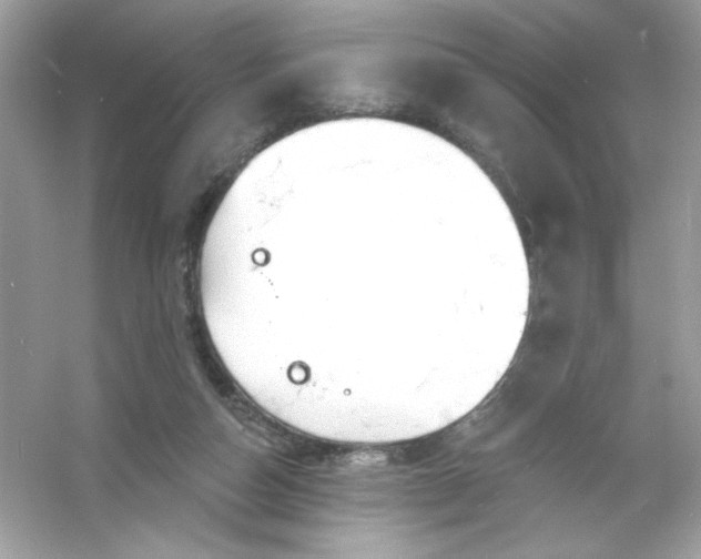 X0000053160162200507251918