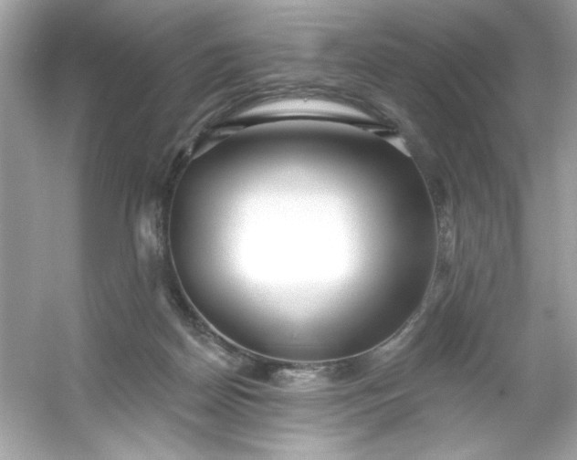 X0000053160170200507251918