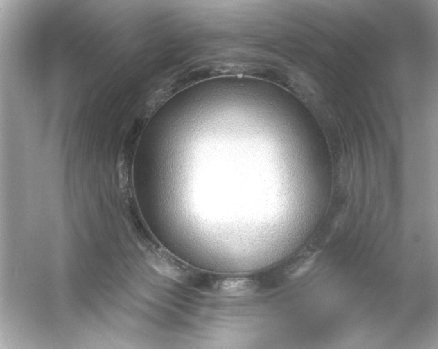 X0000053160173200507251918