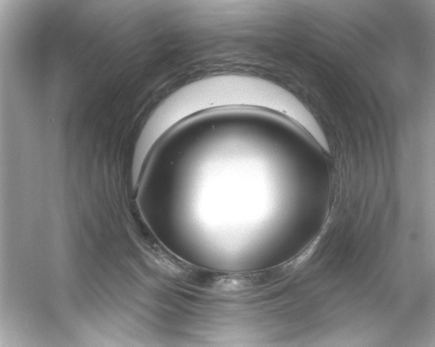 X0000053160174200507251918