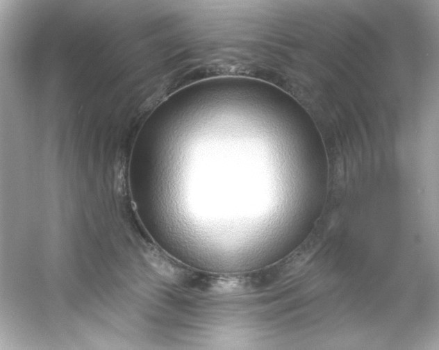 X0000053160177200507251918