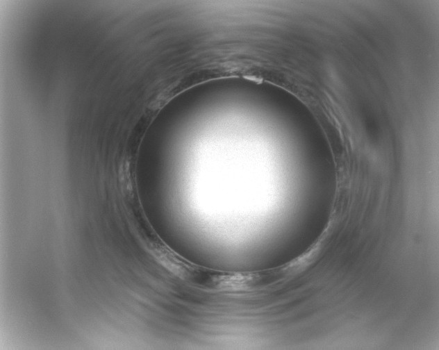 X0000053160182200507251918
