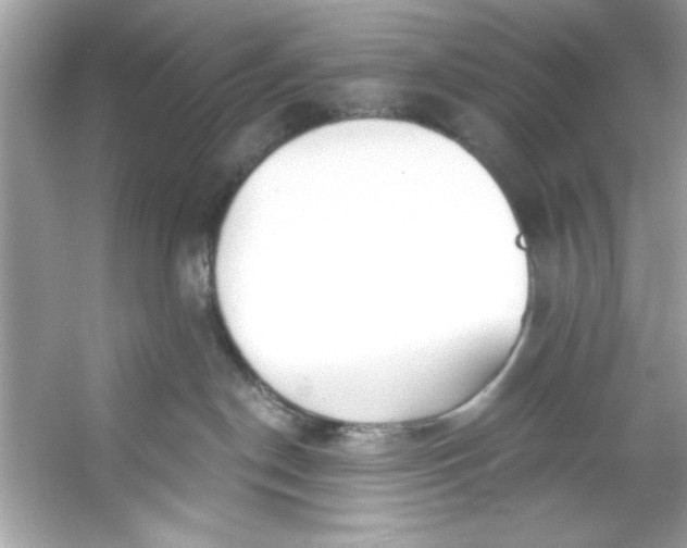 X0000053160190200507251918