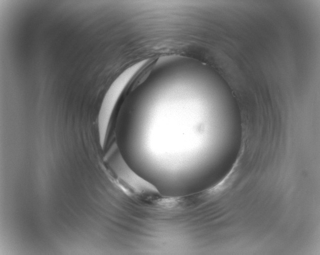 X0000053160192200507251918