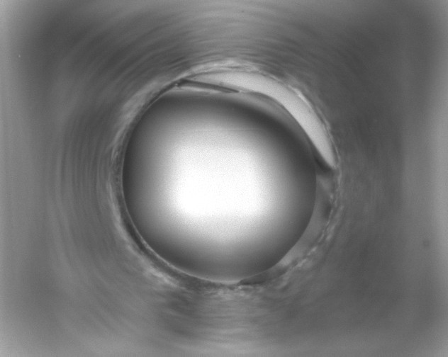 X0000053160193200507251917