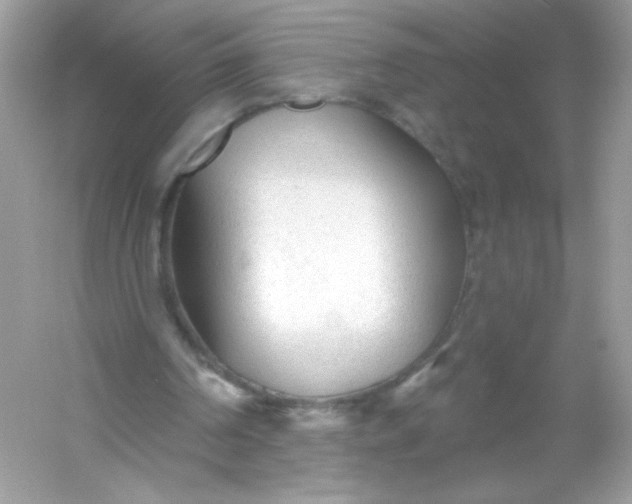 X0000053160194200507251917