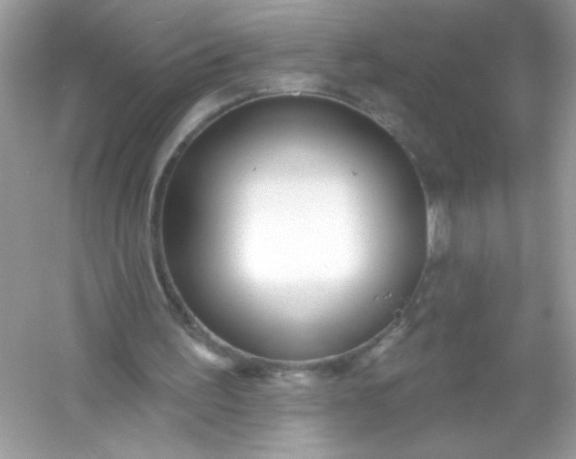 X0000053160195200507251917