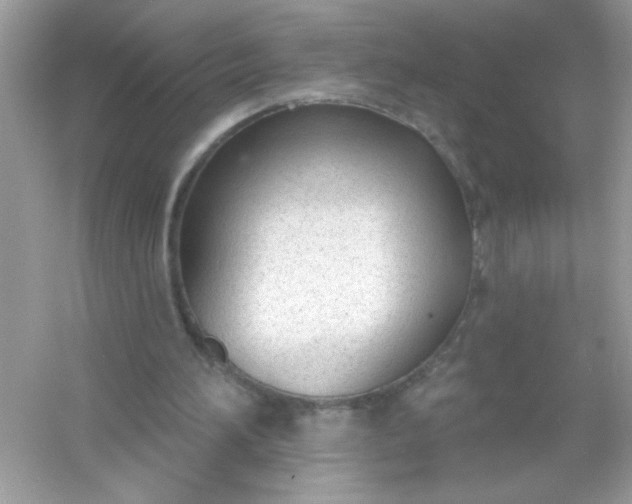 X0000053160196200507251917