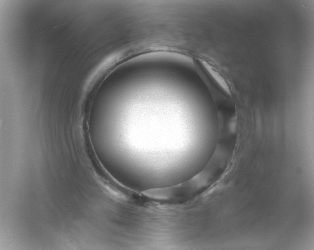 X0000053160197200507251917