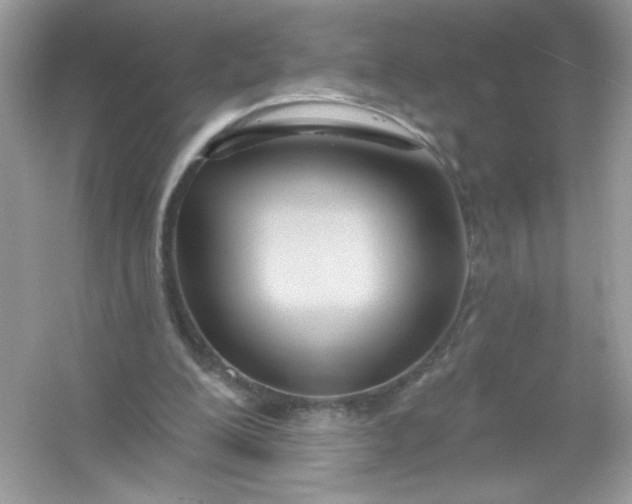 X0000053160200200507251917