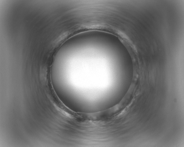 X0000053160201200507251917