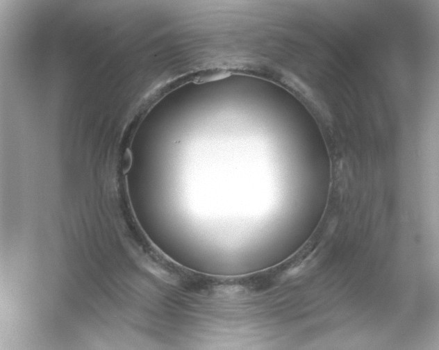 X0000053160203200507251917