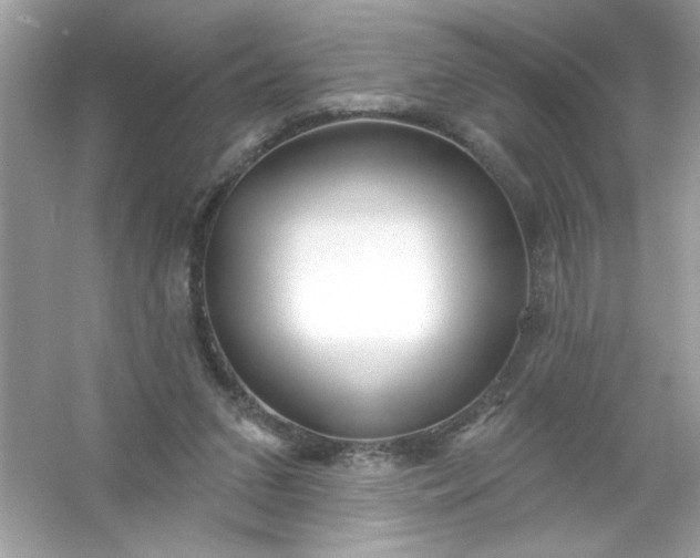 X0000053160207200507251917