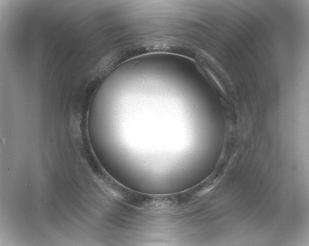 X0000053160209200507251917
