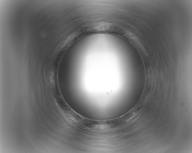 X0000053160212200507251917