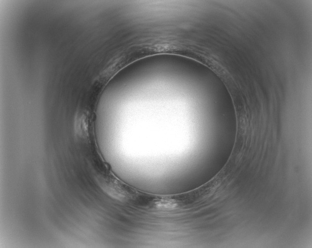 X0000053160214200507251917
