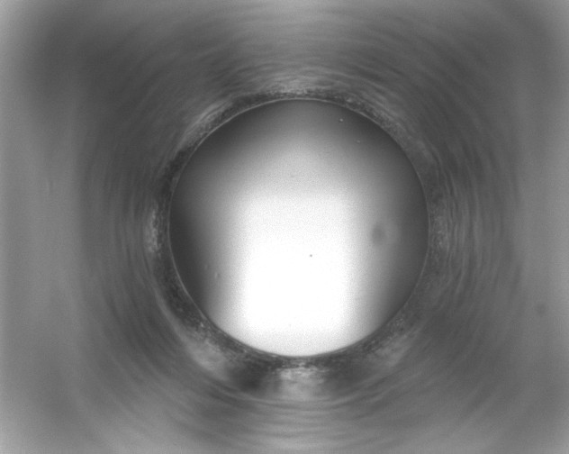 X0000053160216200507251917