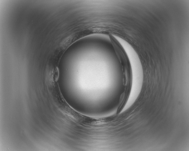 X0000053160219200507251917