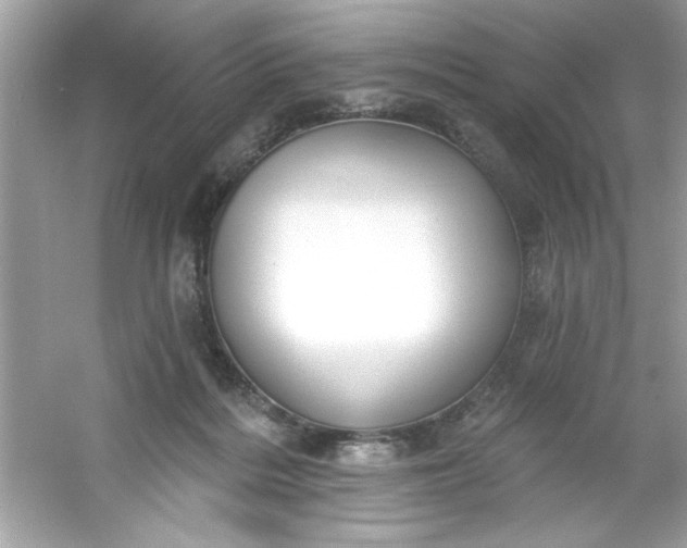 X0000053160220200507251917