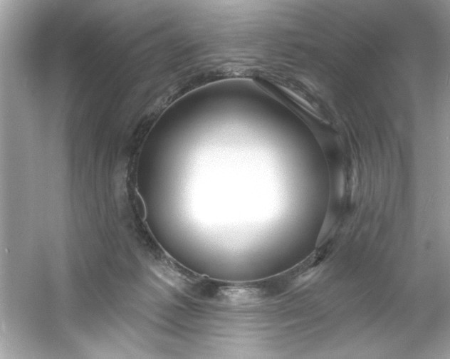 X0000053160221200507251917