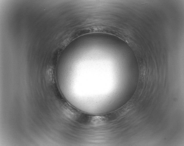 X0000053160222200507251917