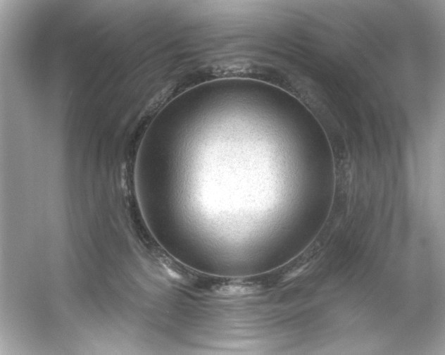 X0000053160224200507251917
