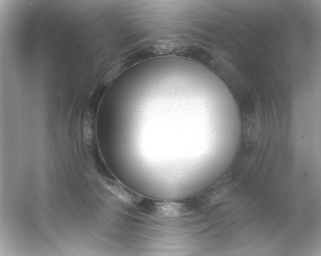 X0000053160226200507251917