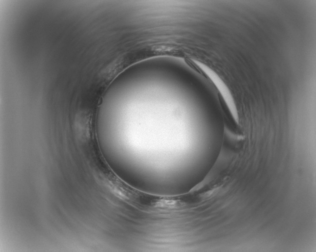 X0000053160227200507251917
