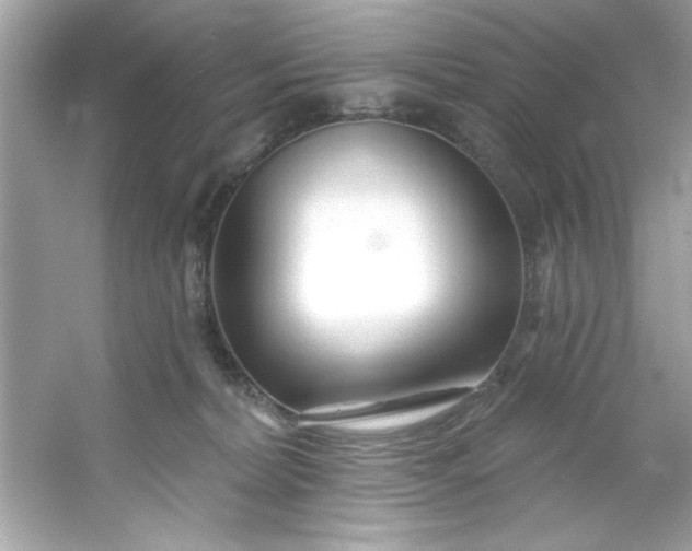 X0000053160228200507251917