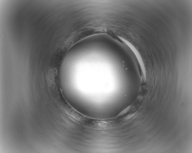 X0000053160229200507251917