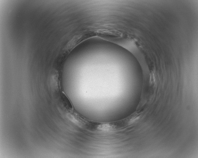 X0000053160231200507251917