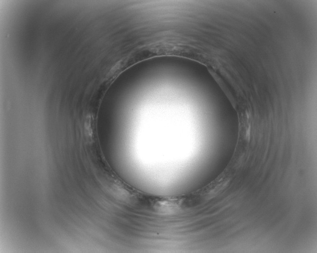 X0000053160232200507251917