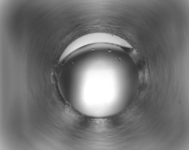 X0000053160233200507251917