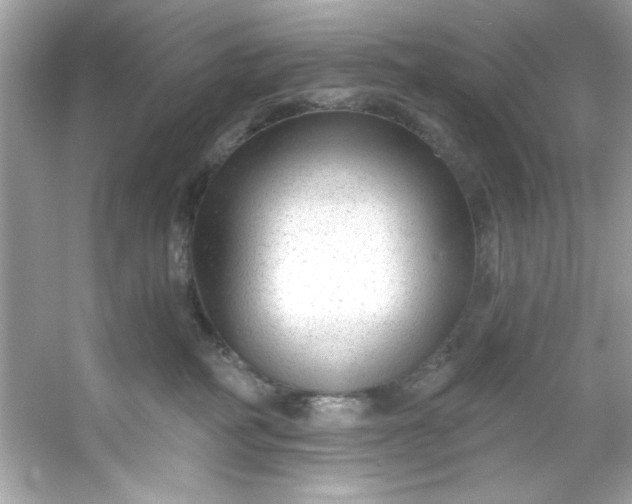 X0000053160234200507251917