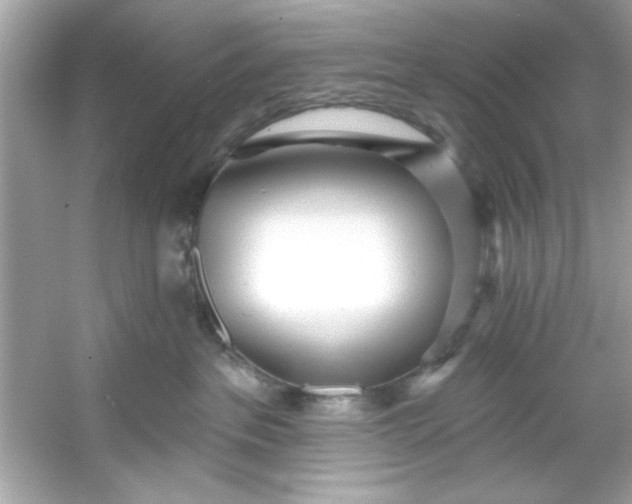 X0000053160237200507251917