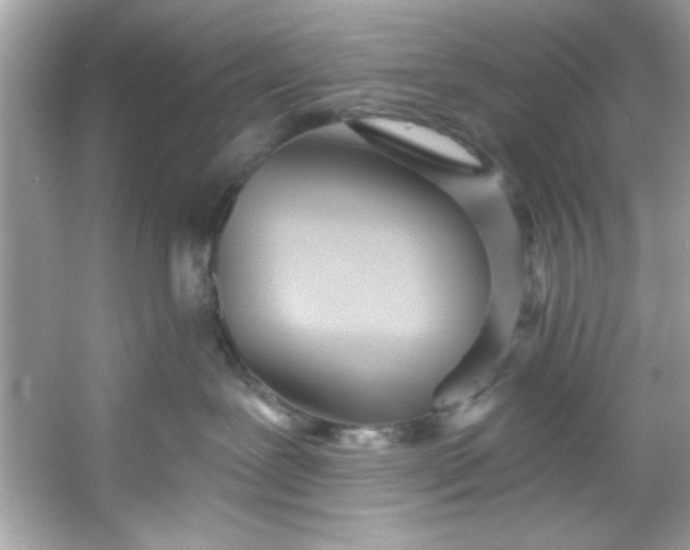 X0000053160239200507251916