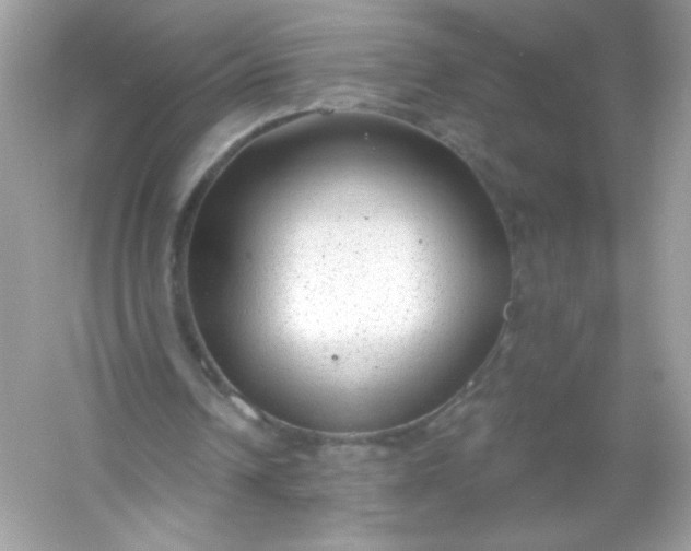 X0000053160242200507251916